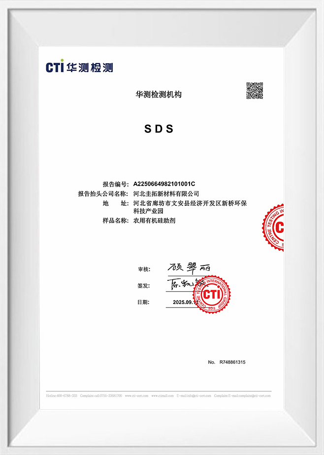 センター試験国際グループ