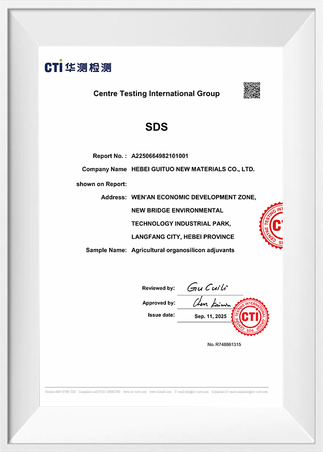 センター試験国際グループ